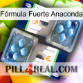 Fórmula Fuerte Anaconda viagra5